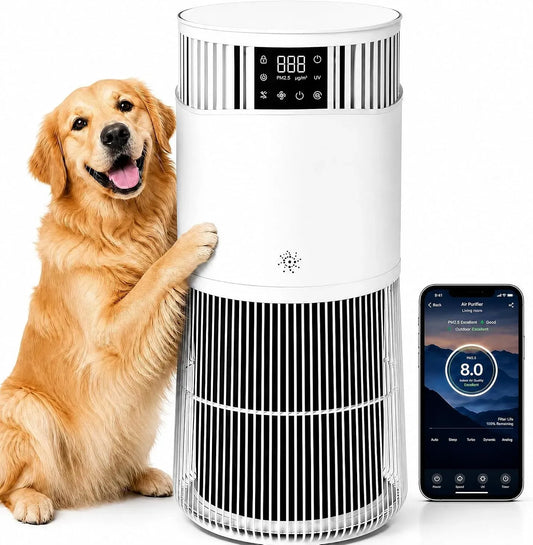 Purificateur d'air CADR 490, 490 m³/h, 24 dB, minuteur, application, silencieux, affichage PM2,5, m³/h pour jusqu'à 50 m², voiture et application